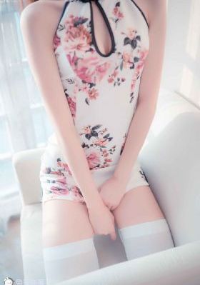 火爆社区向日葵