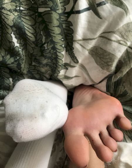 网站免费视频