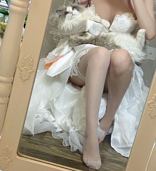 如懿传