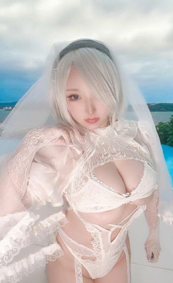 543部队全52集免费观看