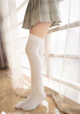 功夫小蝇免费完整版