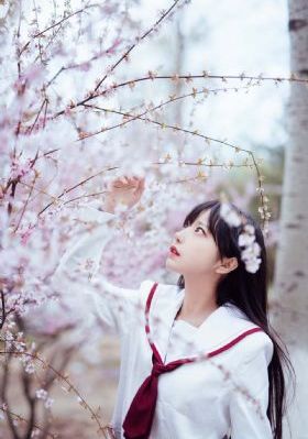超级教师2免费版电视剧上